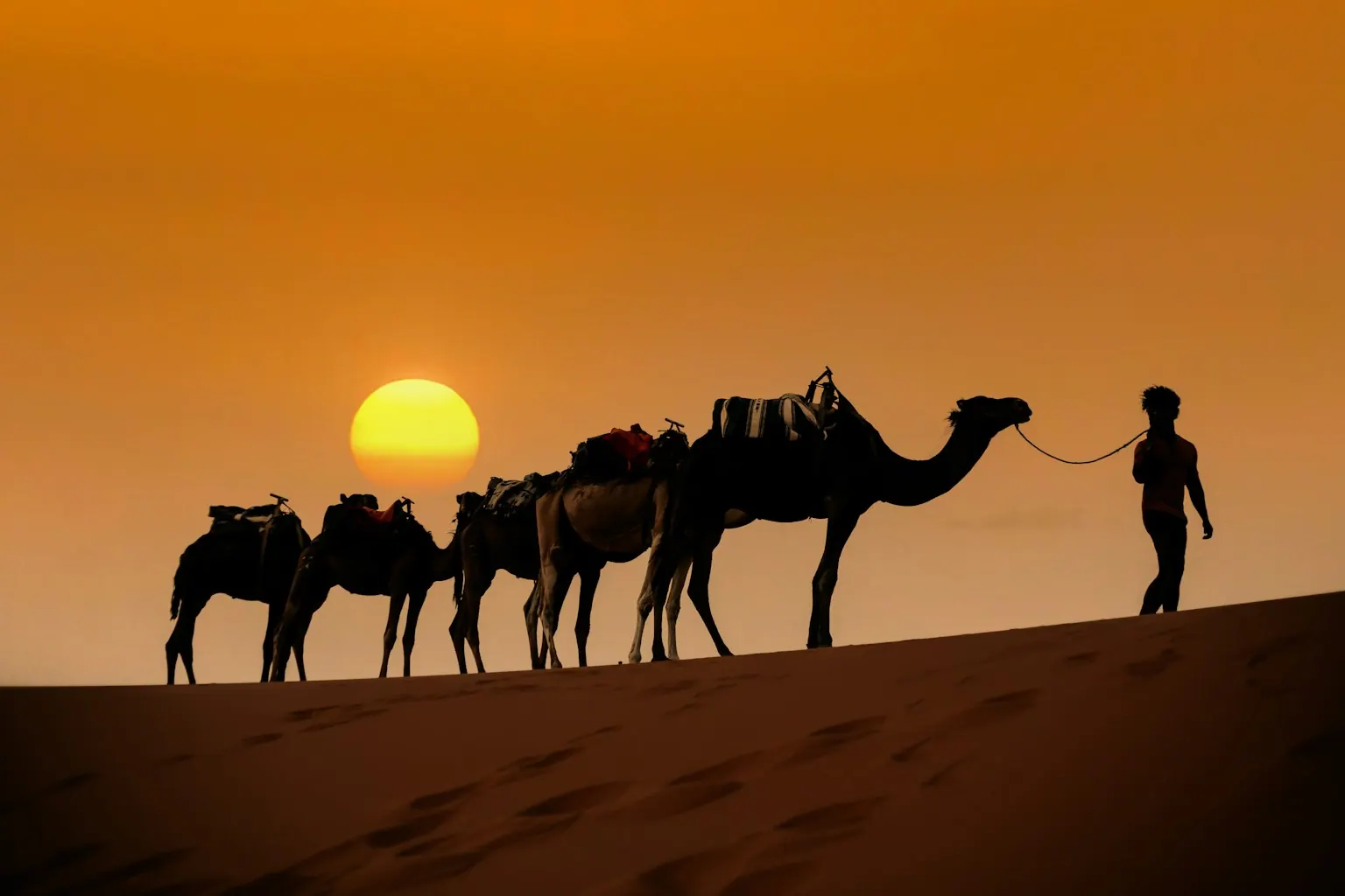 Caravana de camelos ao pôr do sol nas dunas do Saara