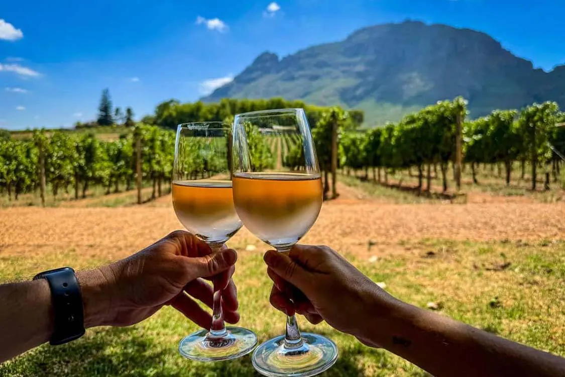 Taças de vinho diante das montanhas de Cape Winelands